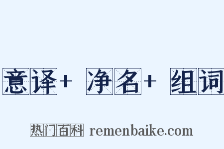 意译+净名+组词是什么意思的图片